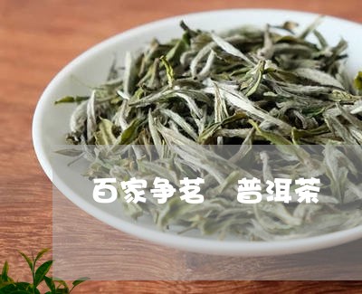 百家争茗 普洱茶/2023033199592